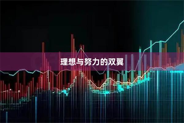 理想与努力的双翼