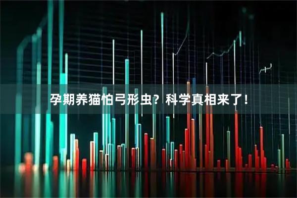 孕期养猫怕弓形虫？科学真相来了！
