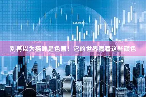 别再以为猫咪是色盲！它的世界藏着这些颜色