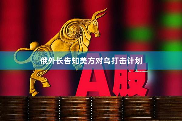 俄外长告知美方对乌打击计划