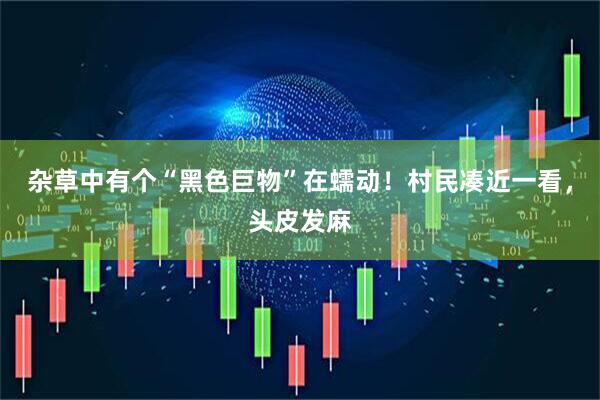 杂草中有个“黑色巨物”在蠕动！村民凑近一看，头皮发麻